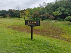 -宜兴龙背山森林公园