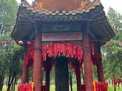 -函谷关历史文化旅游区