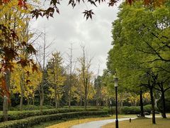 -黄兴公园