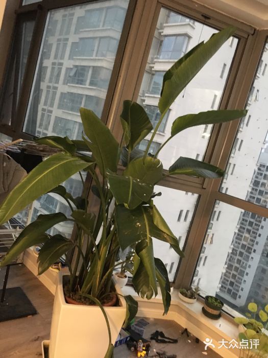 一个差评成就的纹眉店图片