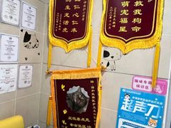 -谐和益家动物医院·免疫绝育·血液透析·宠保定点医院(高新伊藤分院)