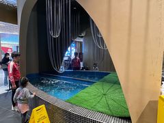 -云海肴云南菜·蒸汽石锅鱼(青岛万象城店)
