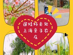 -前小桔亲子创意农场·草莓采摘·露营烧烤