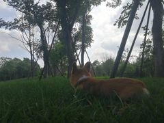 -白鹭湾湿地公园