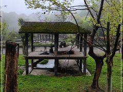 -碧峰峡风景区