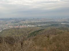 -紫金山山顶公园