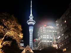-大公鸡中餐馆