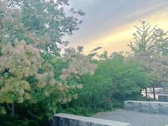 -永定河休闲森林公园