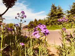 -济南国际园博园