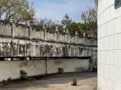-苏州上方山国家森林公园