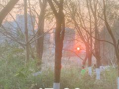 -洋湖国家湿地公园