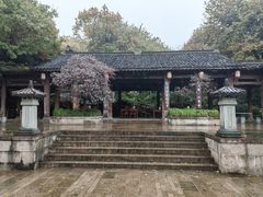 -杭州半山国家森林公园