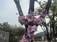 -云溪植物园