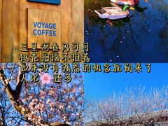 -三里河公园