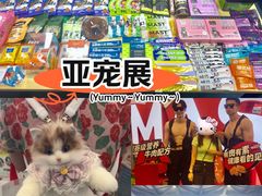 -上海新国际博览中心-P1立体停车场