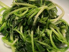 邹山腐皮鸡毛菜-竹外桃花·江南小酒馆(SKP·S店)