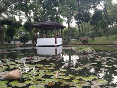 -深圳国际园林花卉博览园