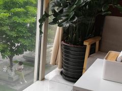 -猫头鹰照相馆(国贸店)