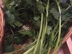 香菜-贤合庄卤味火锅(时代广场店)