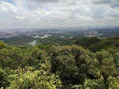 -大屏嶂森林公园