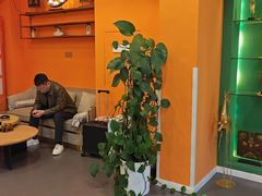 -泰古龙抓龙筋·spa按摩(浦东店)