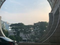 -夏苑(新加坡丽思卡尔顿美年酒店)