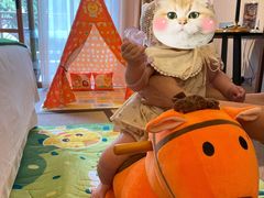 -成都安仁福朋喜来登酒店