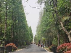 -东平国家森林公园
