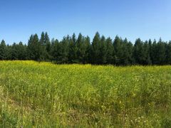 -塞罕坝国家级自然保护区