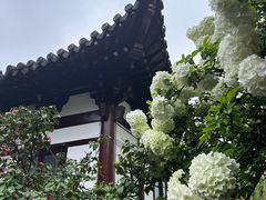 -常熟方塔园