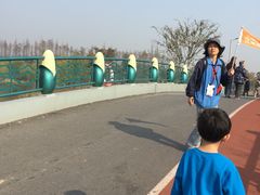 -上海长兴岛郊野公园