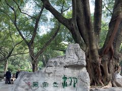 -柳侯公园