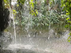 -郑州植物园