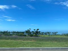 -摩天岭风景区