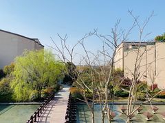 -上海崇明金茂凯悦酒店