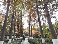 -郑和公园