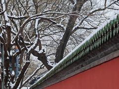 -北京国子监胡同