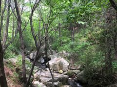 -王顺山国家森林公园