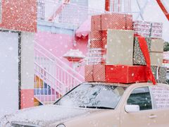 -巨鹏飞梦幻海岸