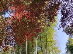 -径山寺