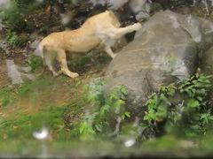 -泉州海丝野生动物世界