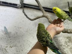 -上海大自然野生昆虫馆
