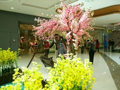 -万达广场(泰安泰山店)