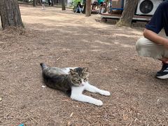 -子午路张记肉夹馍(兵马俑店)