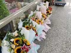 -朝内南小街菜市场