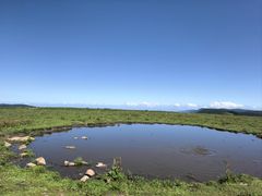 -芦芽山旅游度假区