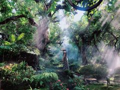 -Chom Cafe and Restaurant