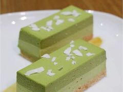 -柴务处·柴犬主题狗咖