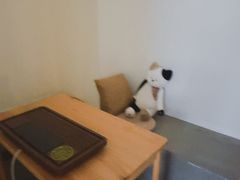 -Cappucimeow猫咪咖啡馆(韦伯时代店)
