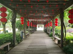 -白马涧龙池景区